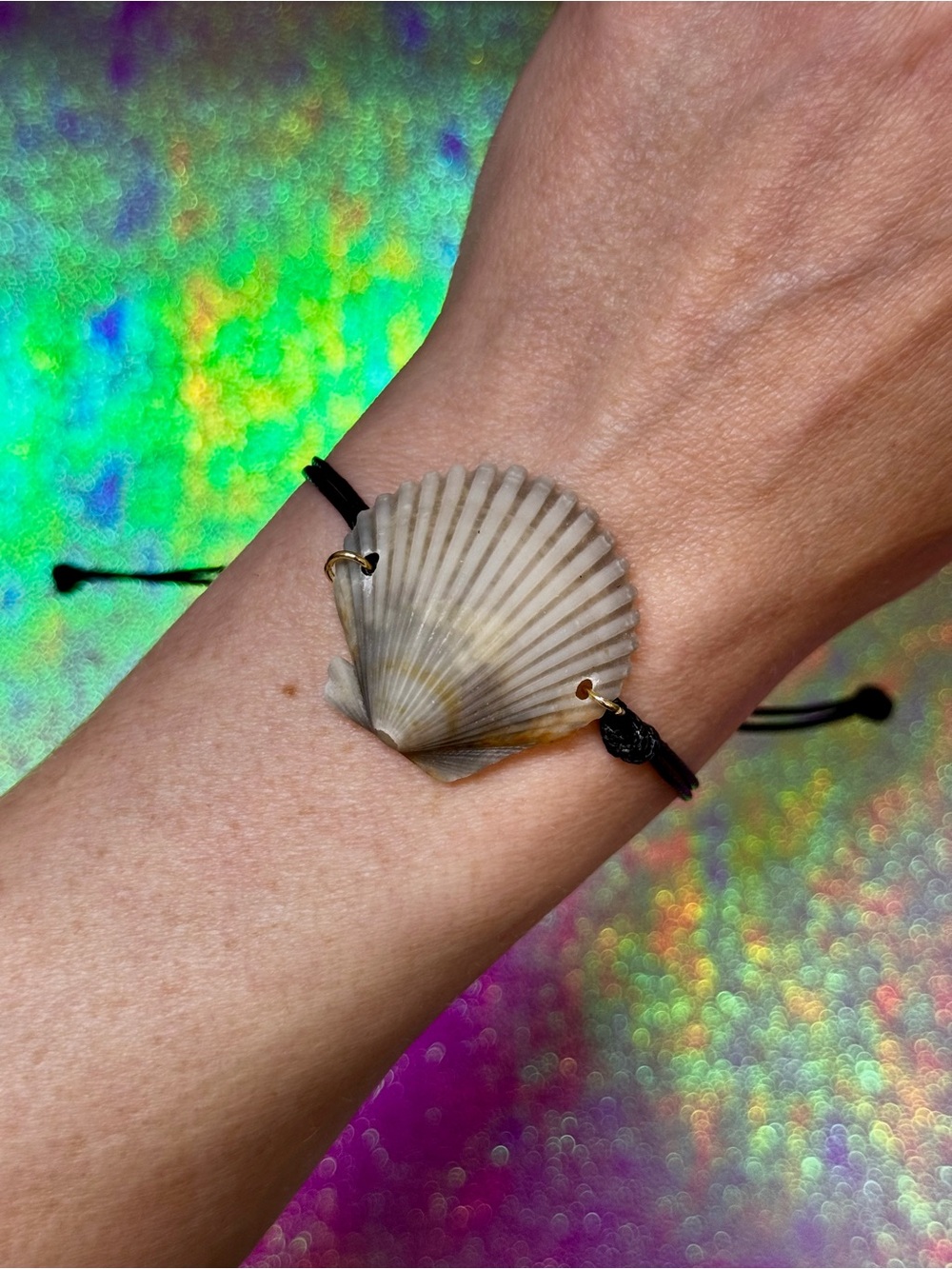 Adjustable Rare Gray & Orange Scallop Seashell on Black Cord